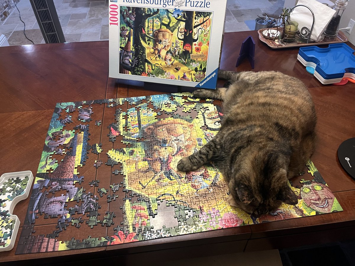 Fendi and angel Foxy tweet media