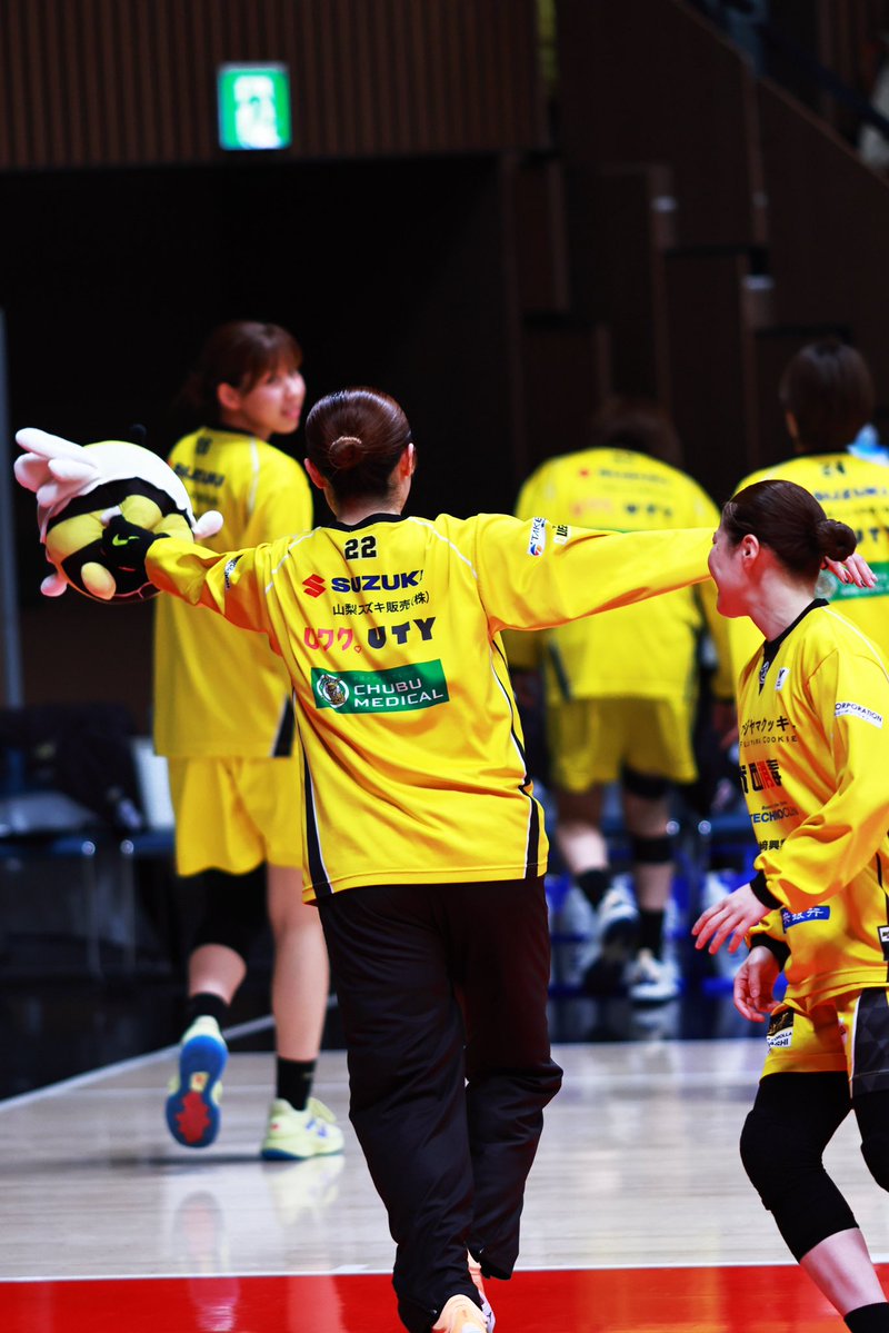 一匹猫 📸 tweet media