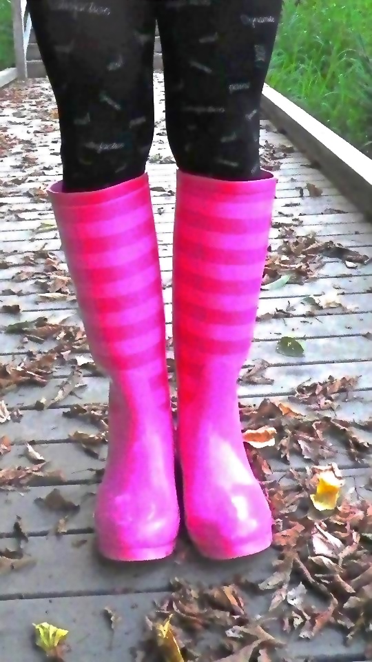 humpychan tweet media