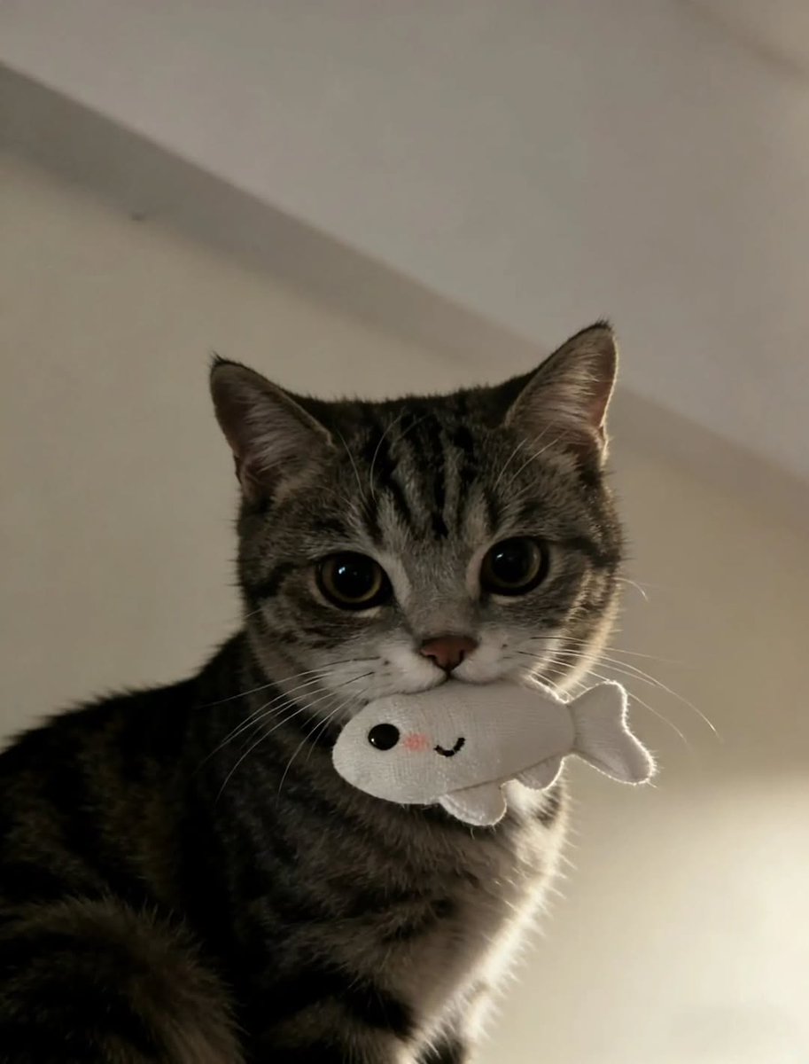 smol silly cat tweet media