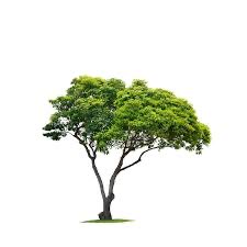 ULU Katheeb tweet media