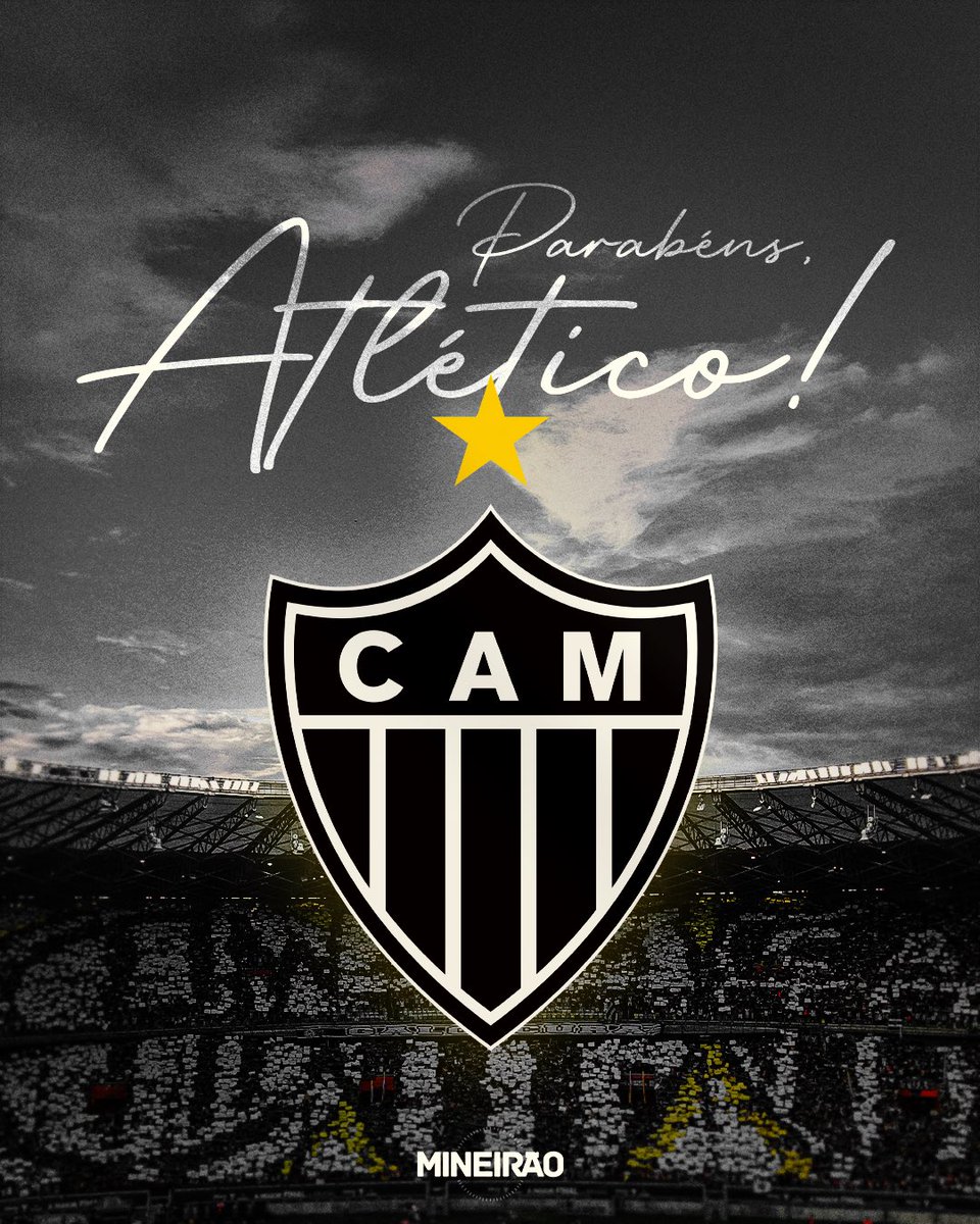 Estádio Mineirão tweet media