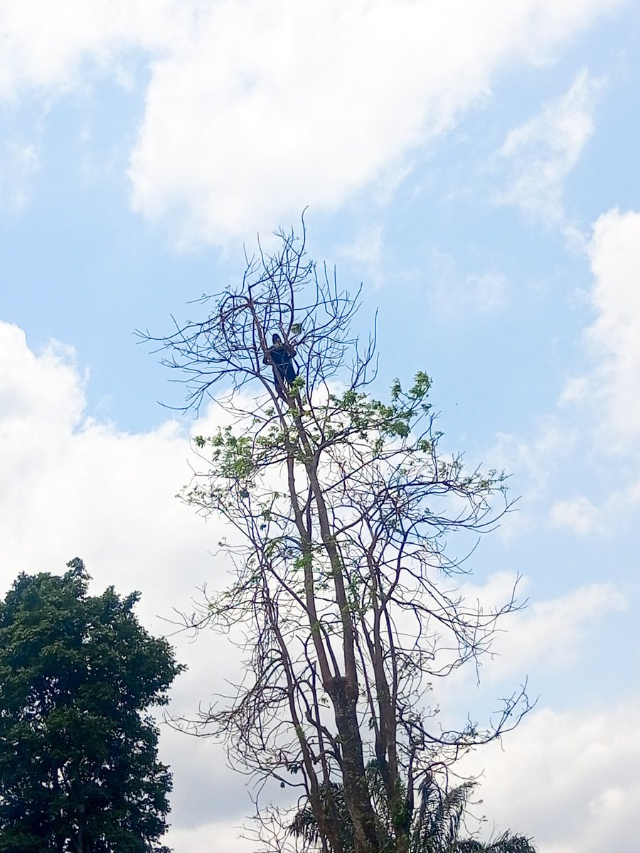 NNANYELUGO 🦅🇦🇫🇦🇫 🇦🇫 tweet media