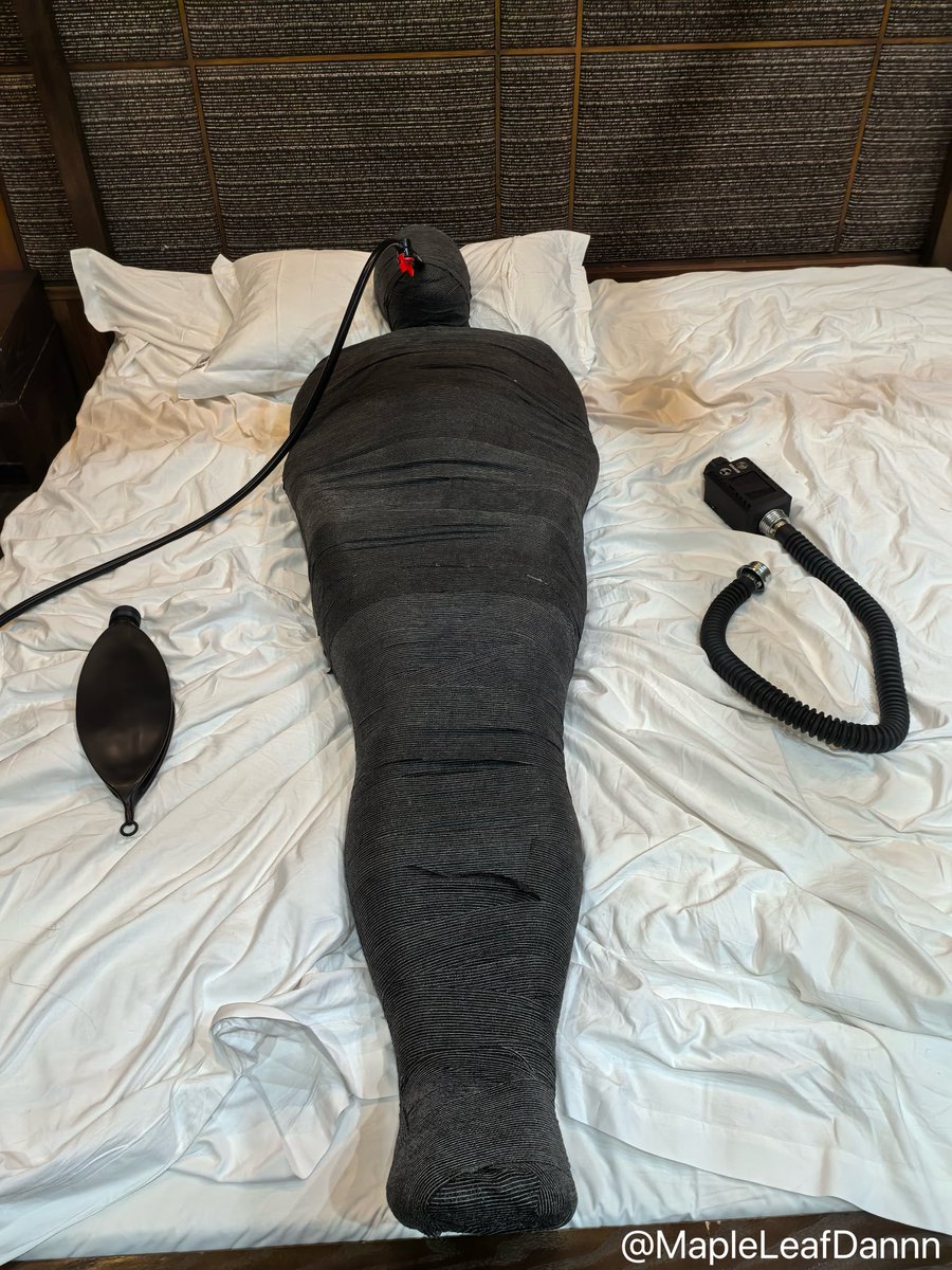 枫叶丹 tweet media