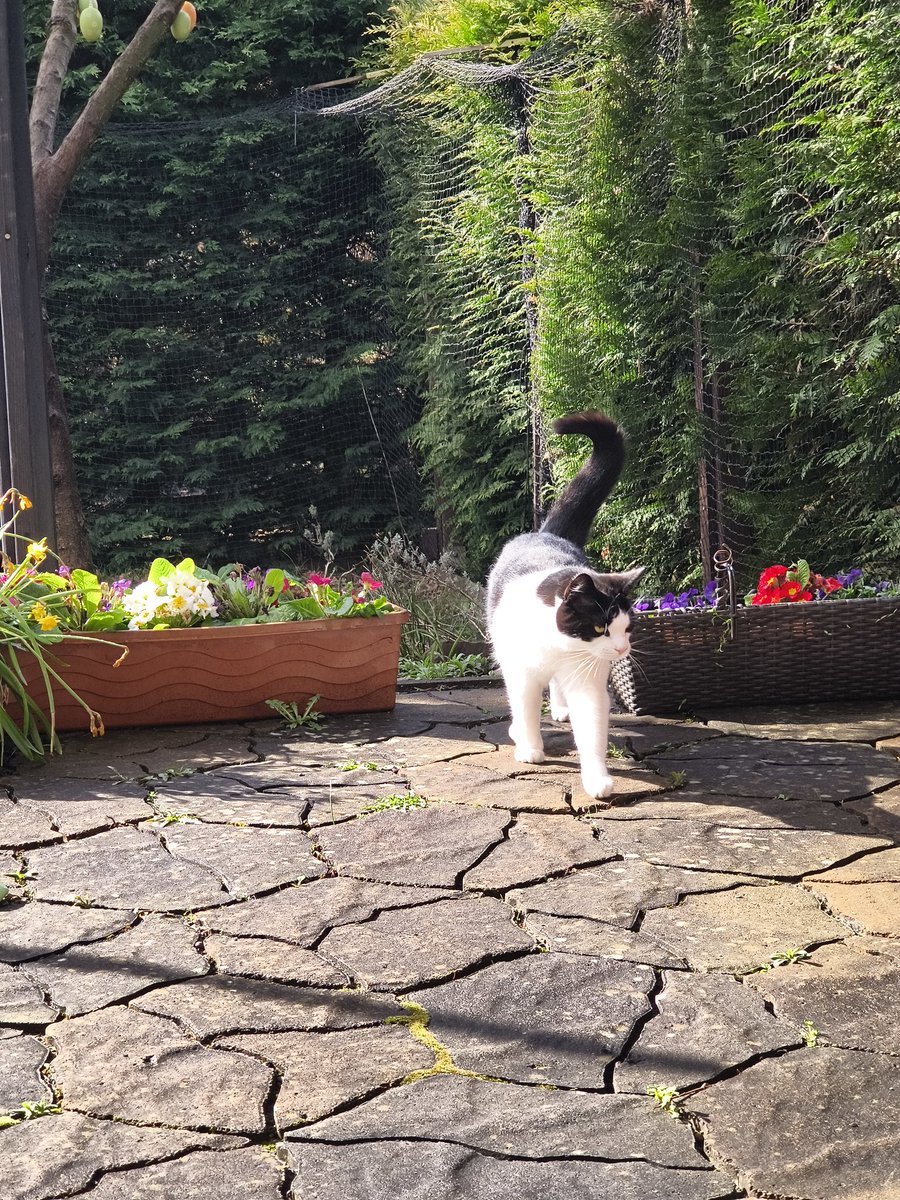 CatWithGeologists tweet media