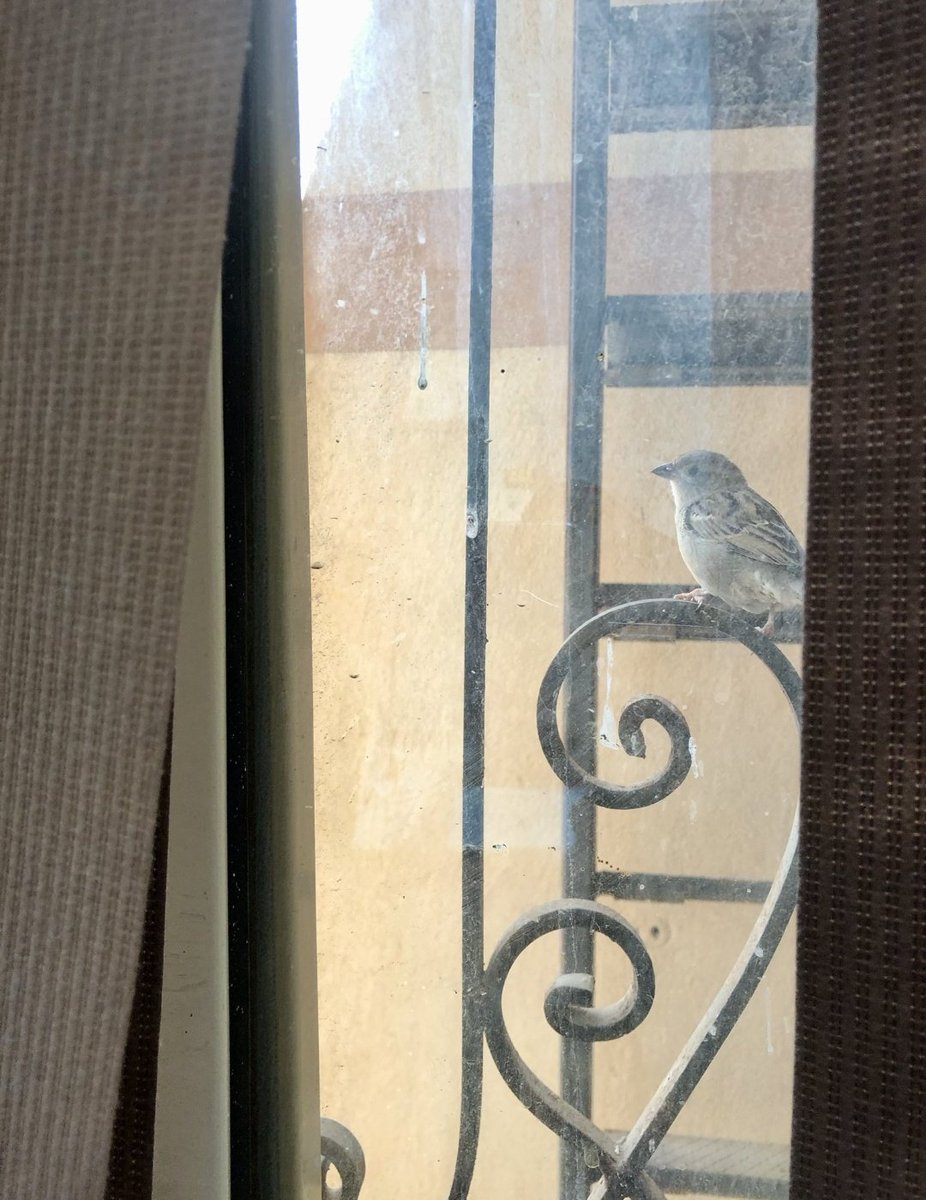 رُ🦌 tweet media