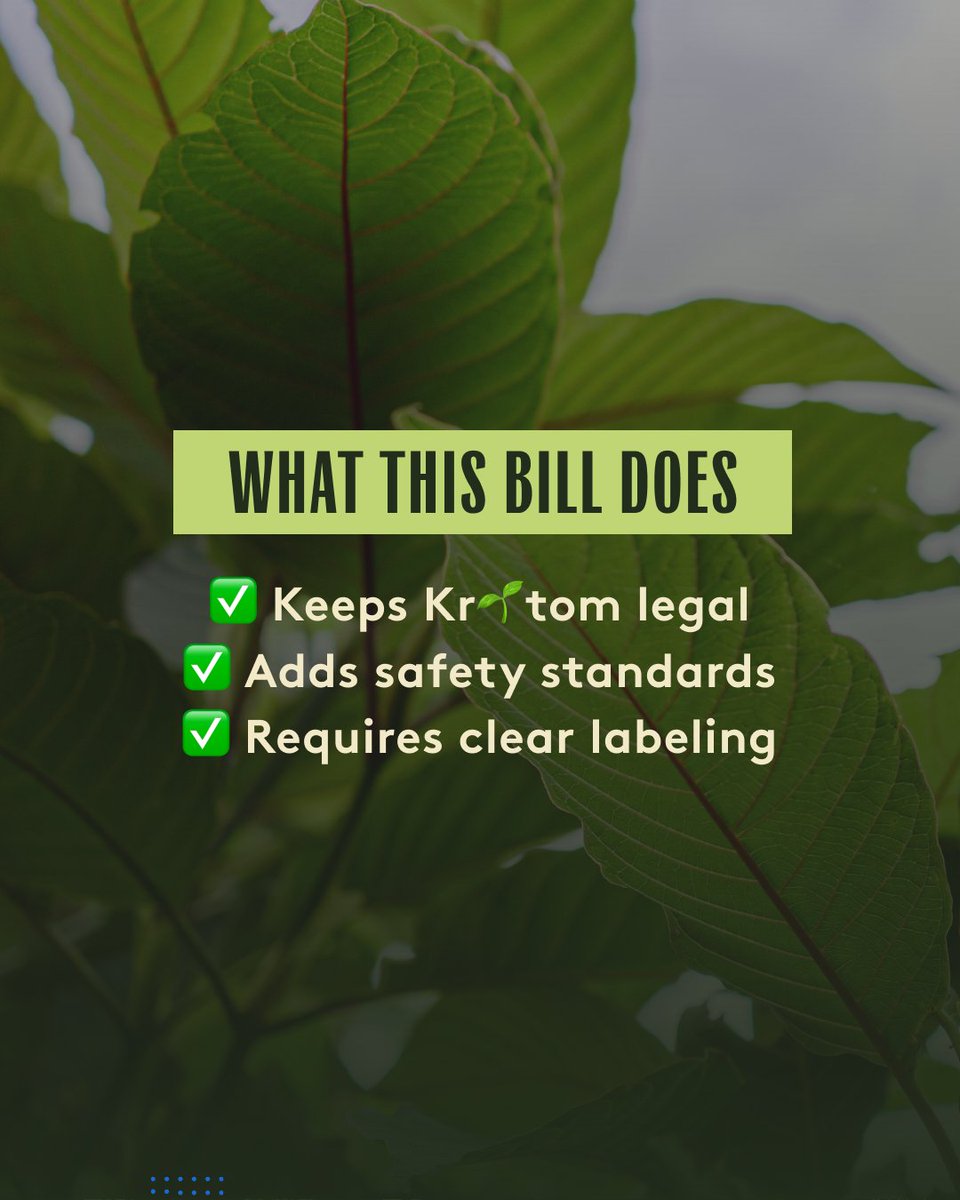 Super Speciosa tweet media