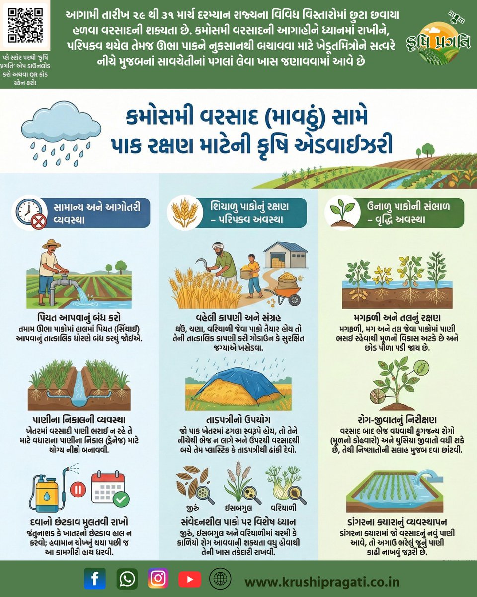 આગામી તારીખ ૨૯ થી ૩૧ માર્ચ દરમ્યાન રાજ્યના વિવિધ વિસ્તારોમાં છુટા છવાયા હળવા વરસાદની શક્યતા છે. કમોસમી વરસાદની આગાહીને ધ્યાનમાં રાખીને, પરિપક્વ થયેલ તેમજ ઊભા પાકને નુકસાનથી બચાવવા માટે ખેડૂતમિત્રોને સત્વરે નીચે મુજબનાં સાવચેતીનાં પગલાં લેવા ખાસ જણાવવામાં આવે છે..