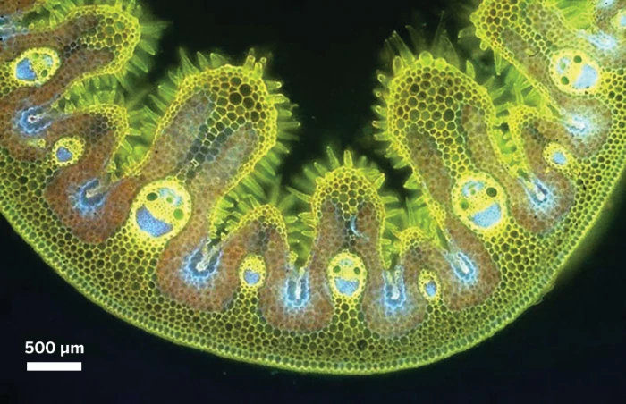 Chemetafor tweet media