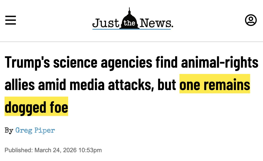 Justin Goodman tweet media