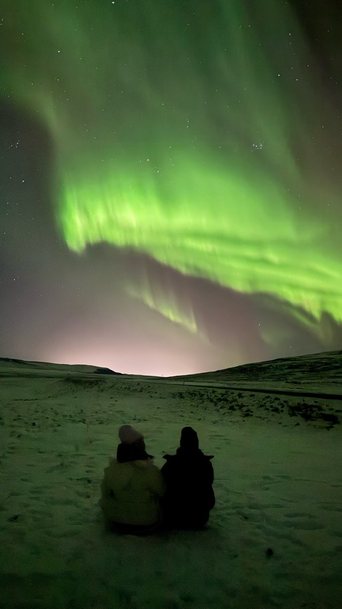 BusTravel Iceland tweet media