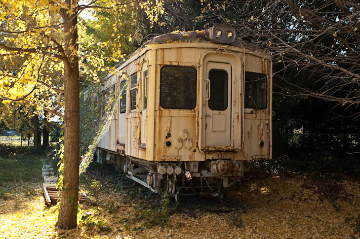 よういち tweet media