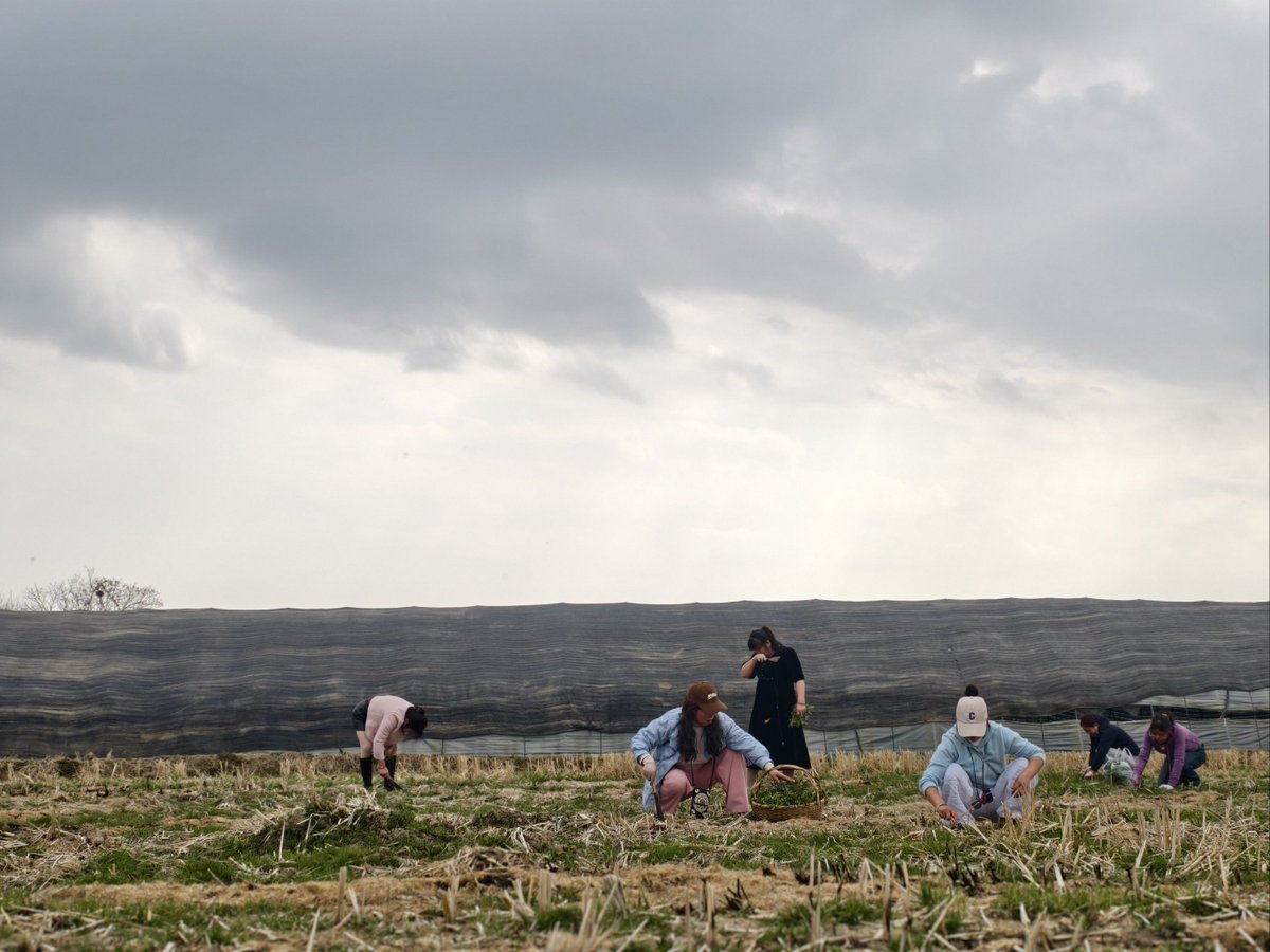 launa smith tweet media