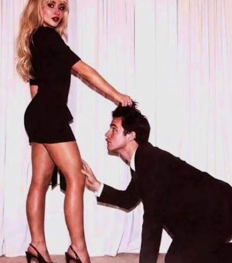 José sweet surrender tweet media