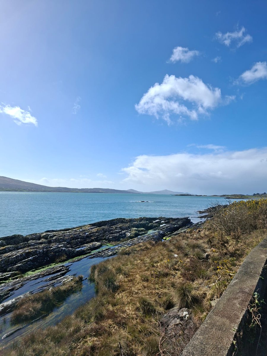 Anne Poole tweet media