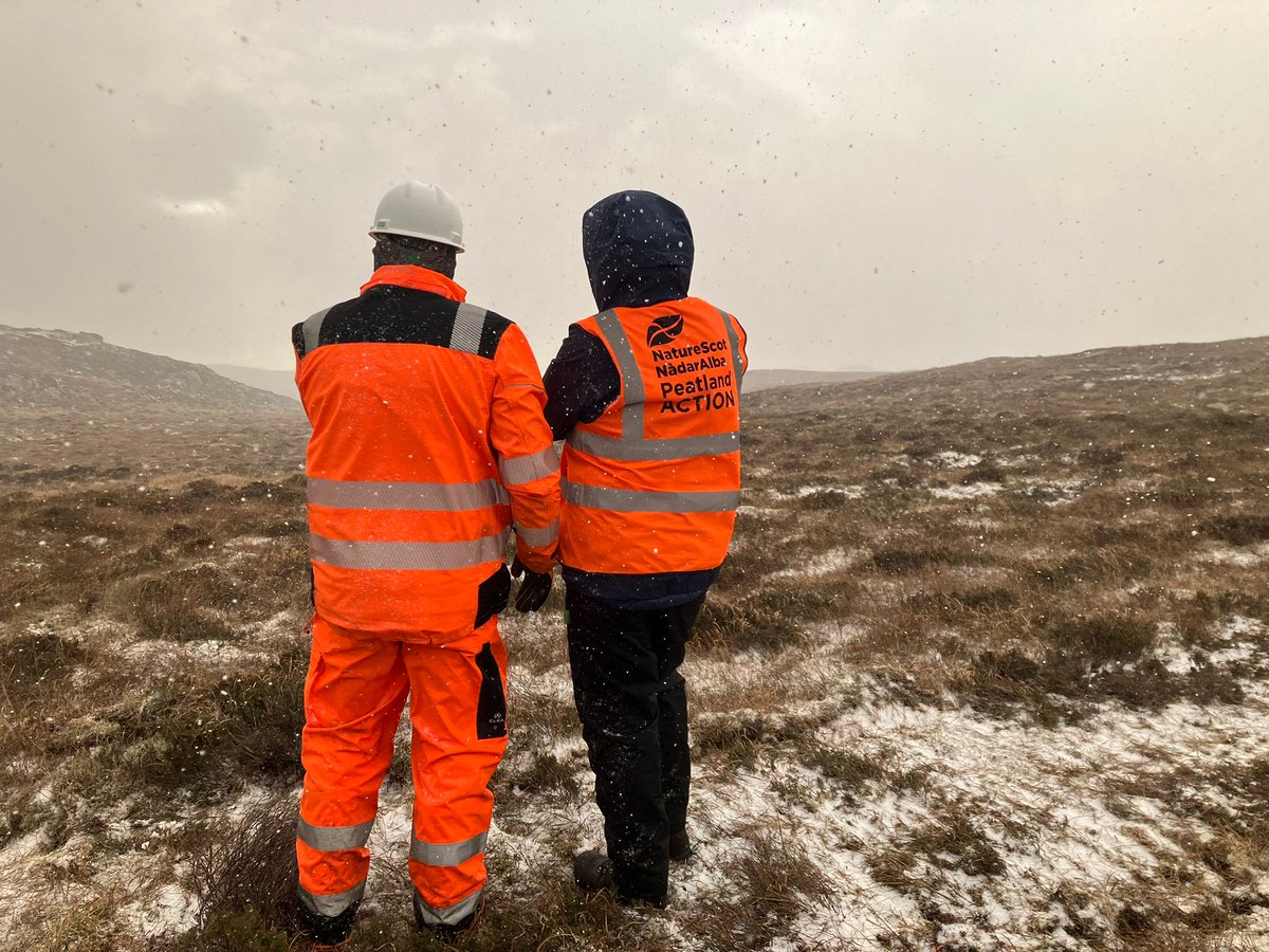 Peatland ACTION tweet media