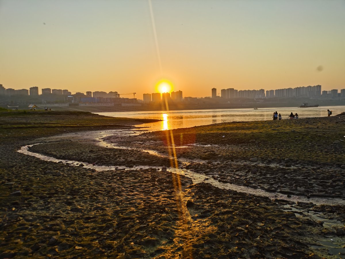 Nerd Manor tweet media