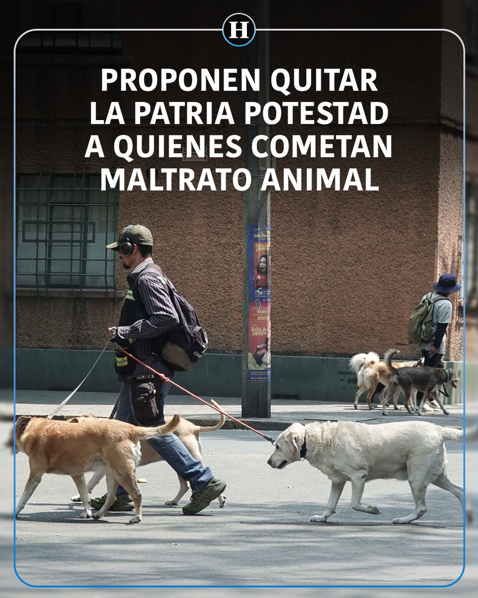 El Heraldo de México tweet media