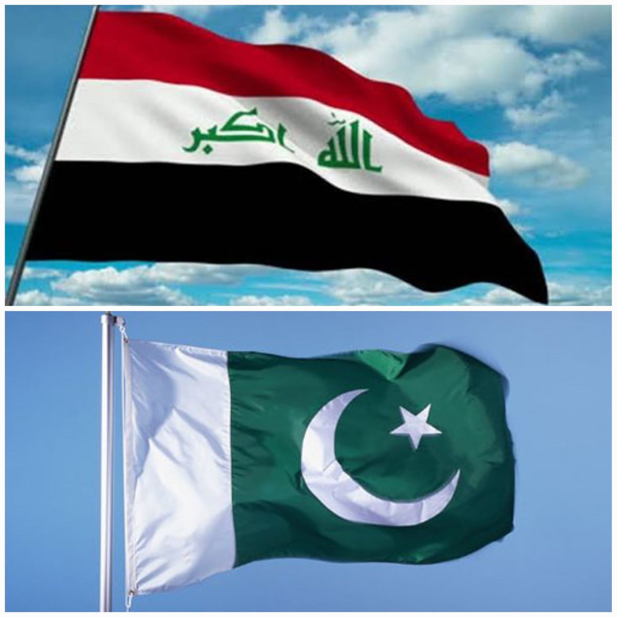 Abdolrahim Ansari tweet media