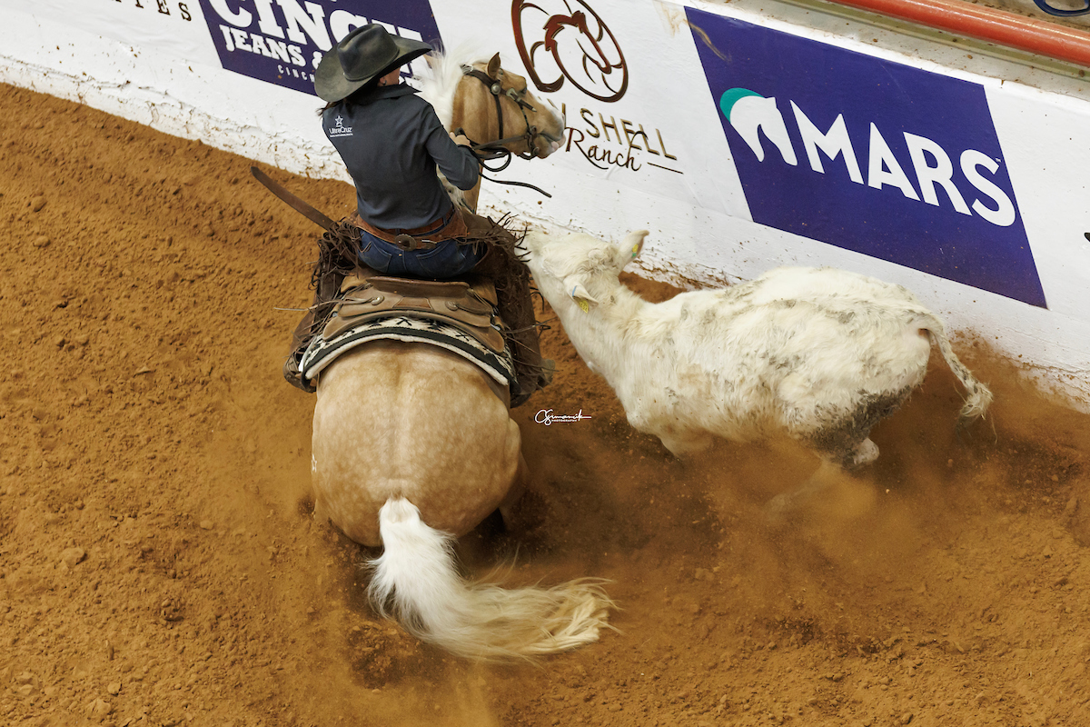 CD DIAMOND tweet media