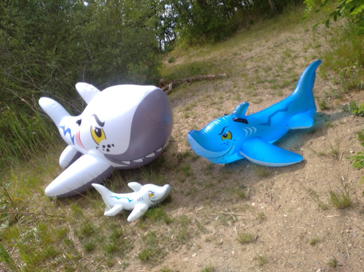 Johnny_Gag 🇨🇿 tweet media