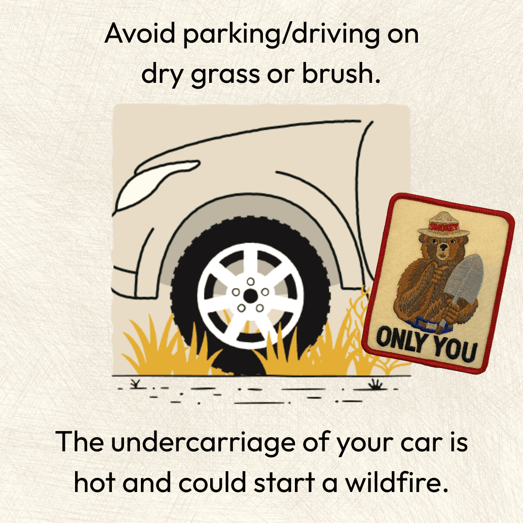 smokey_bear's tweet photo. Behind every safe drive is a little preparation. Check your hitch, mind your brakes, and choose your parking spots wisely. https://t.co/UouUOY77kX