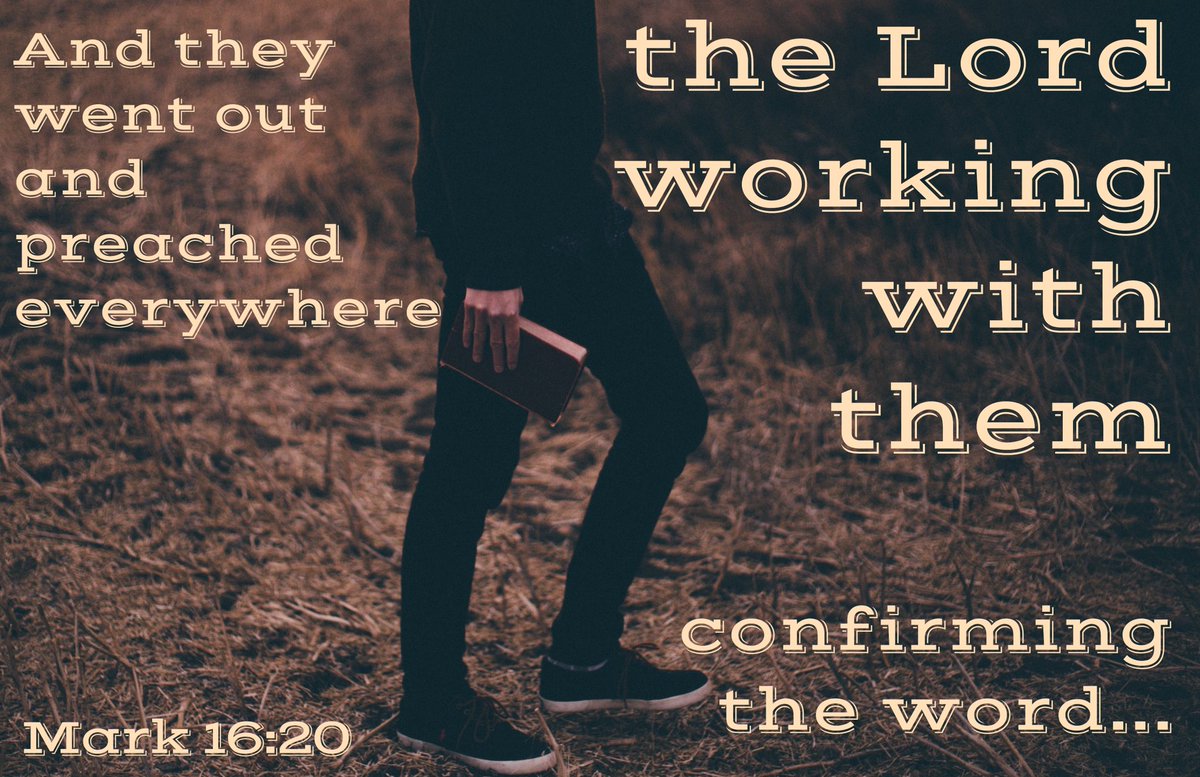 Jim Suttle tweet media