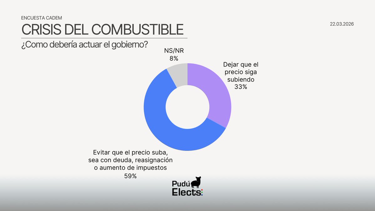 Pudú Elects tweet media