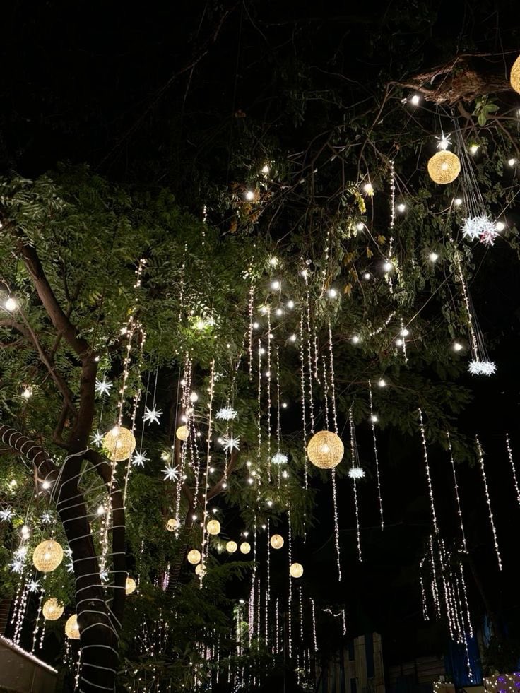 Meera Adhinata📍Samosir tweet media