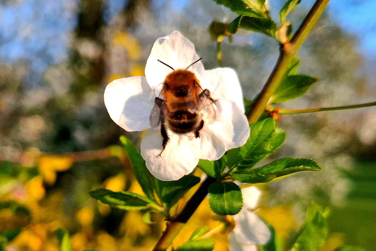 Yvonne Steplavage tweet media