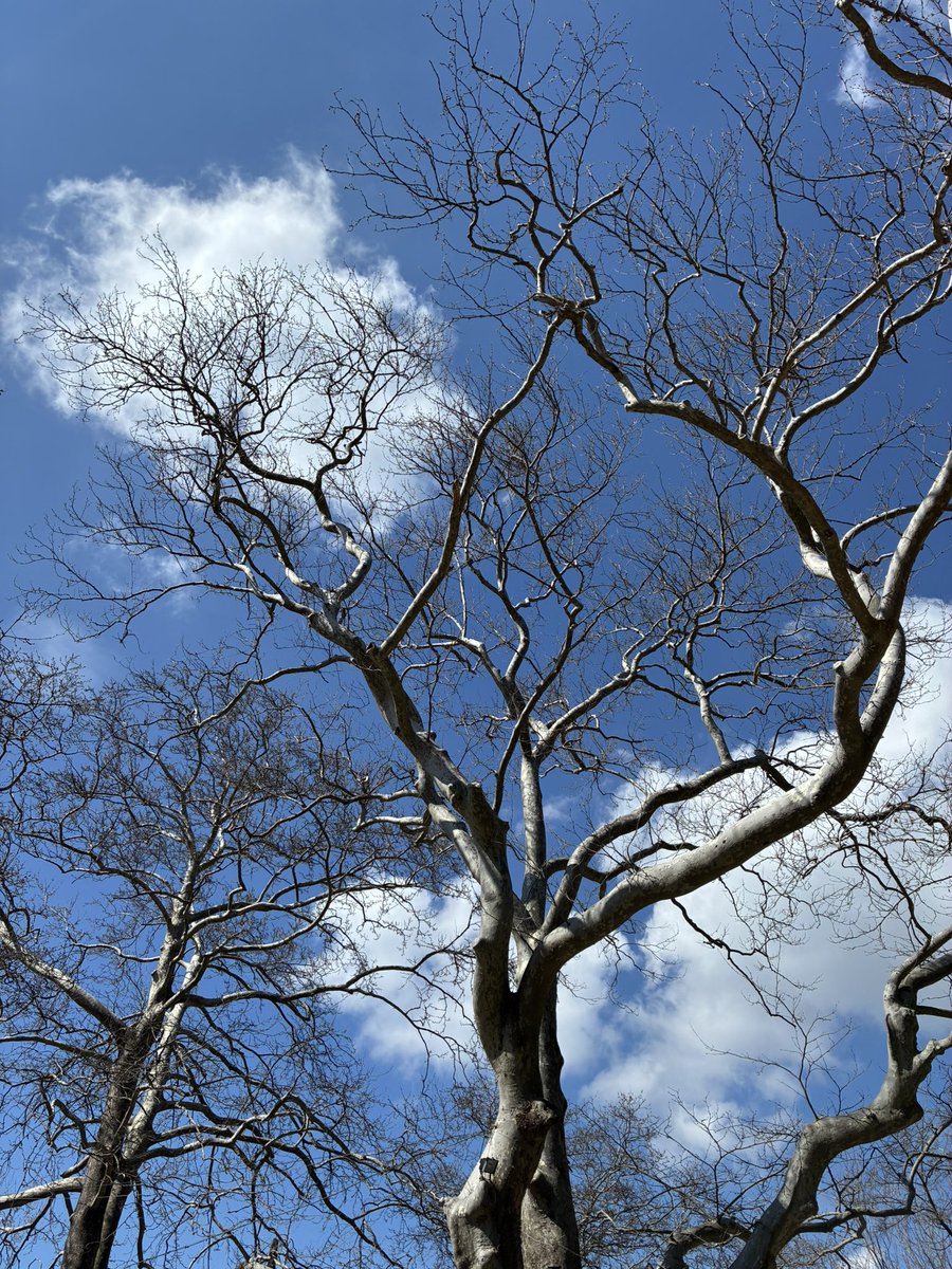 ACE♠️ tweet media