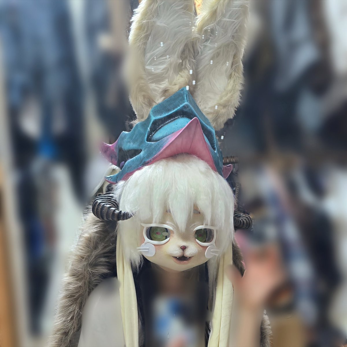 토리온🐾 tweet media