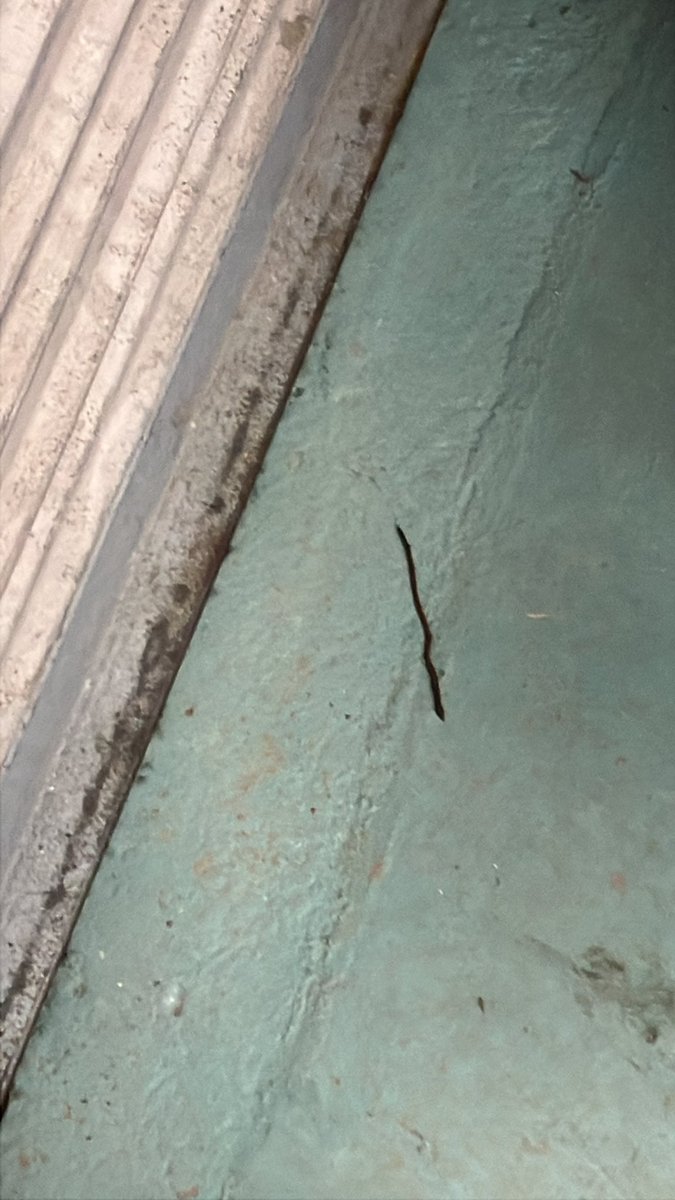 UNLABEL(移転完了バタバタ継続中)バイクのマフラー作ってます tweet media