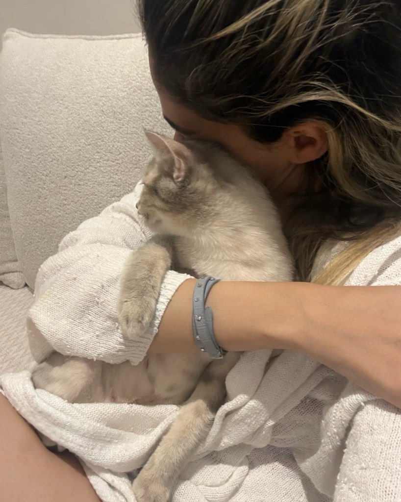 زونالين tweet media