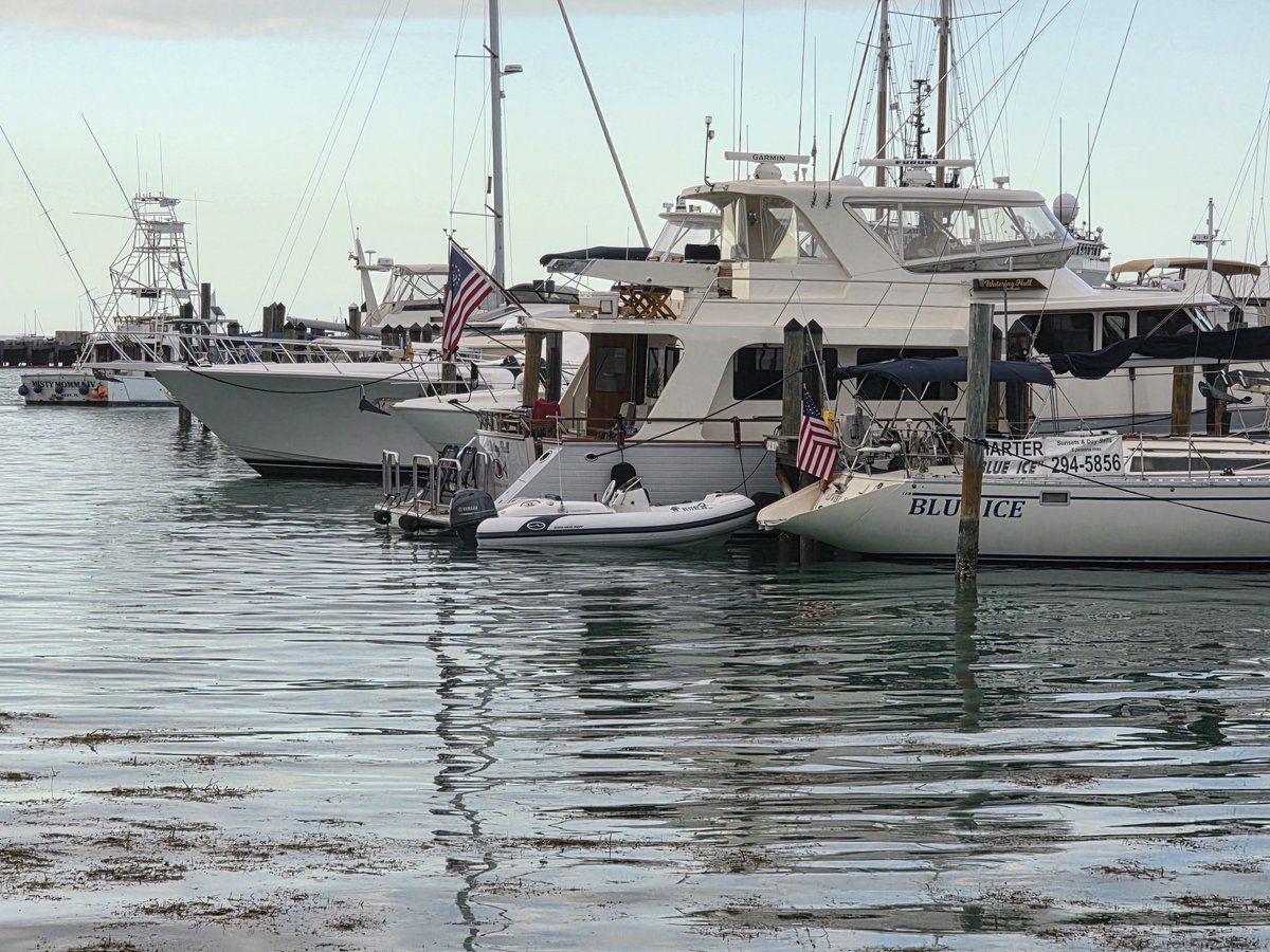 Key West - Party in Key West tweet media