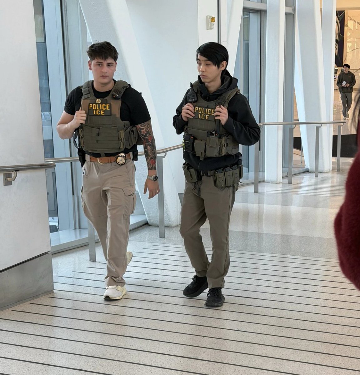 Brian Krassenstein tweet media