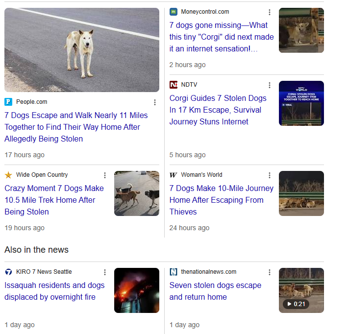 Stalkchain tweet media