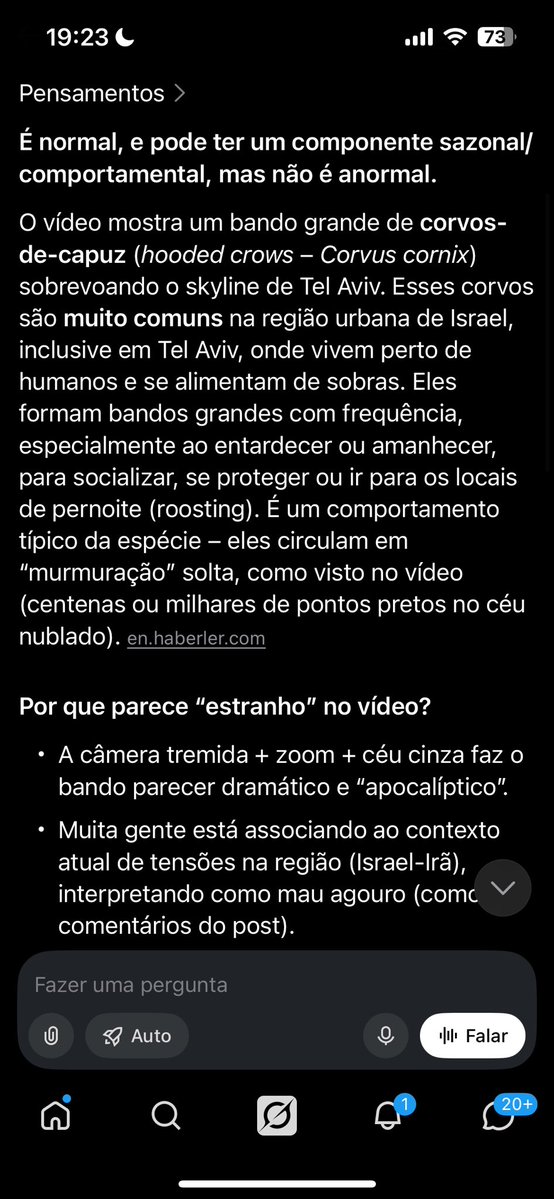 Samurai Realista tweet media