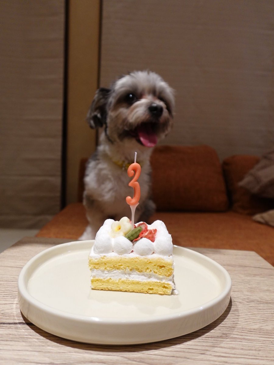 晴香 | 𝑹𝒆𝑩𝒆𝒔𝒕広報 tweet media