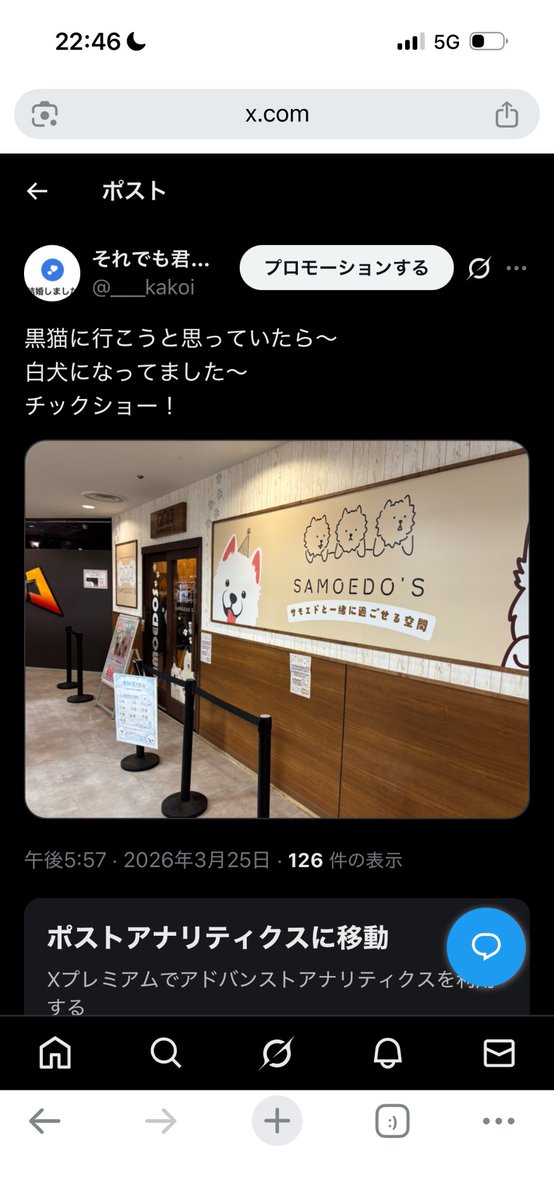 それでも君を囲いたい tweet media