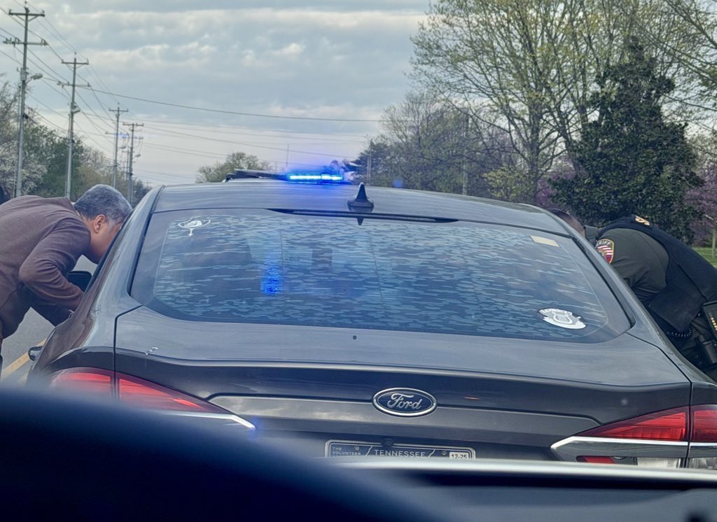 Southern Mama tweet media