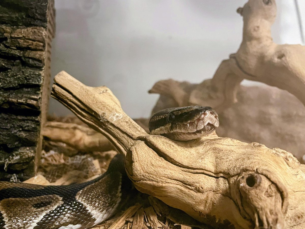 Stux � tweet media