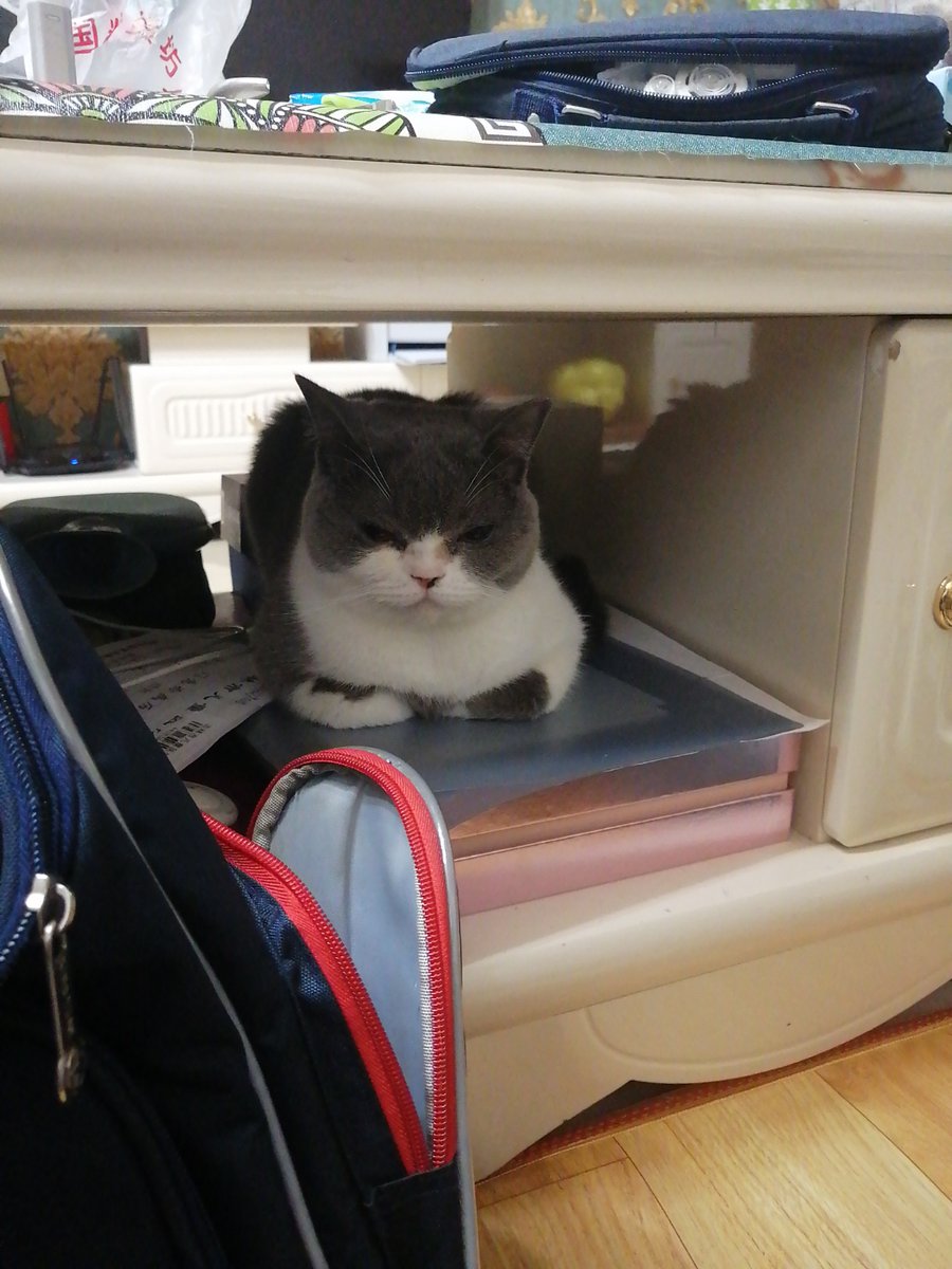 C. Shane Conner tweet media