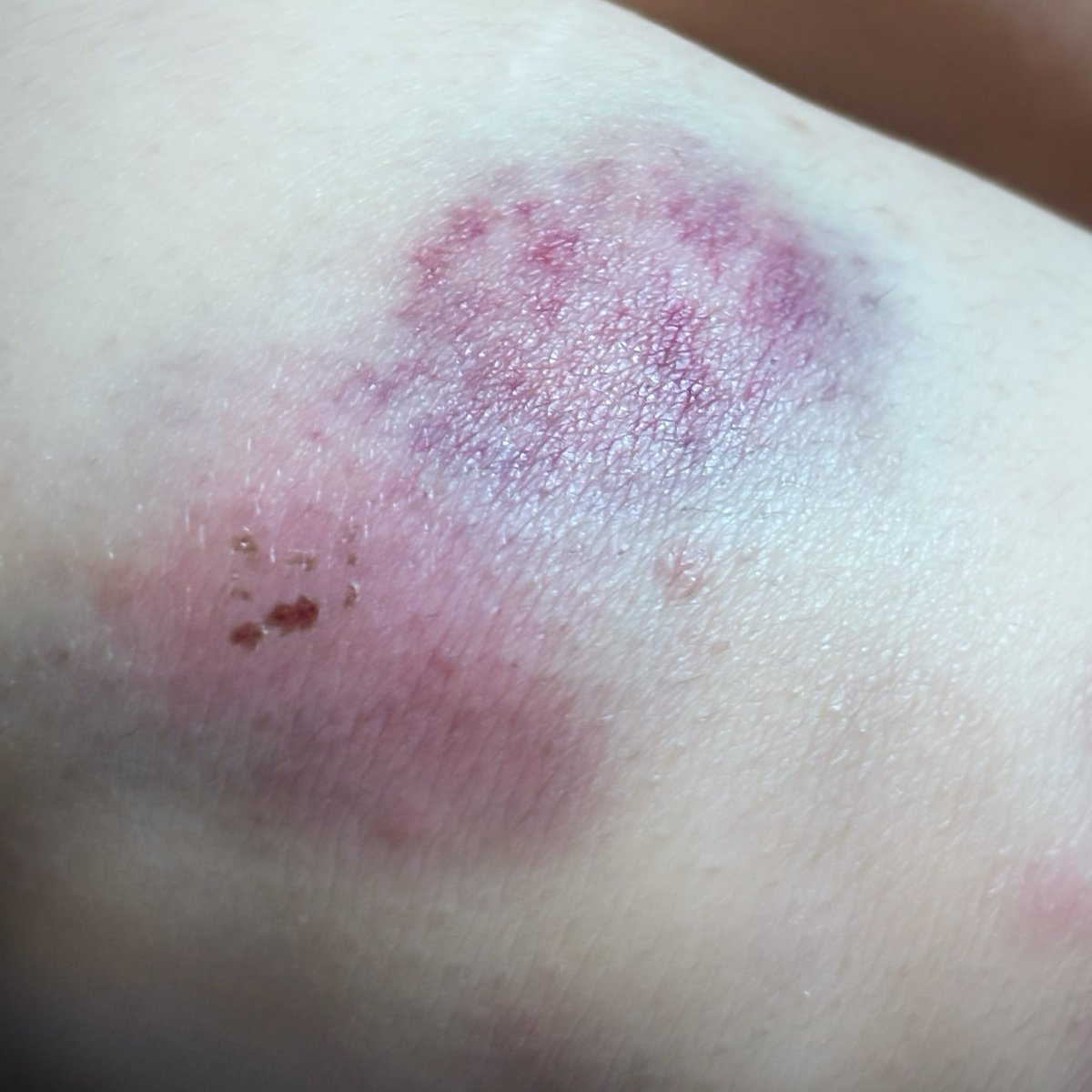 ◎東アジア躁鬱革委會 tweet media