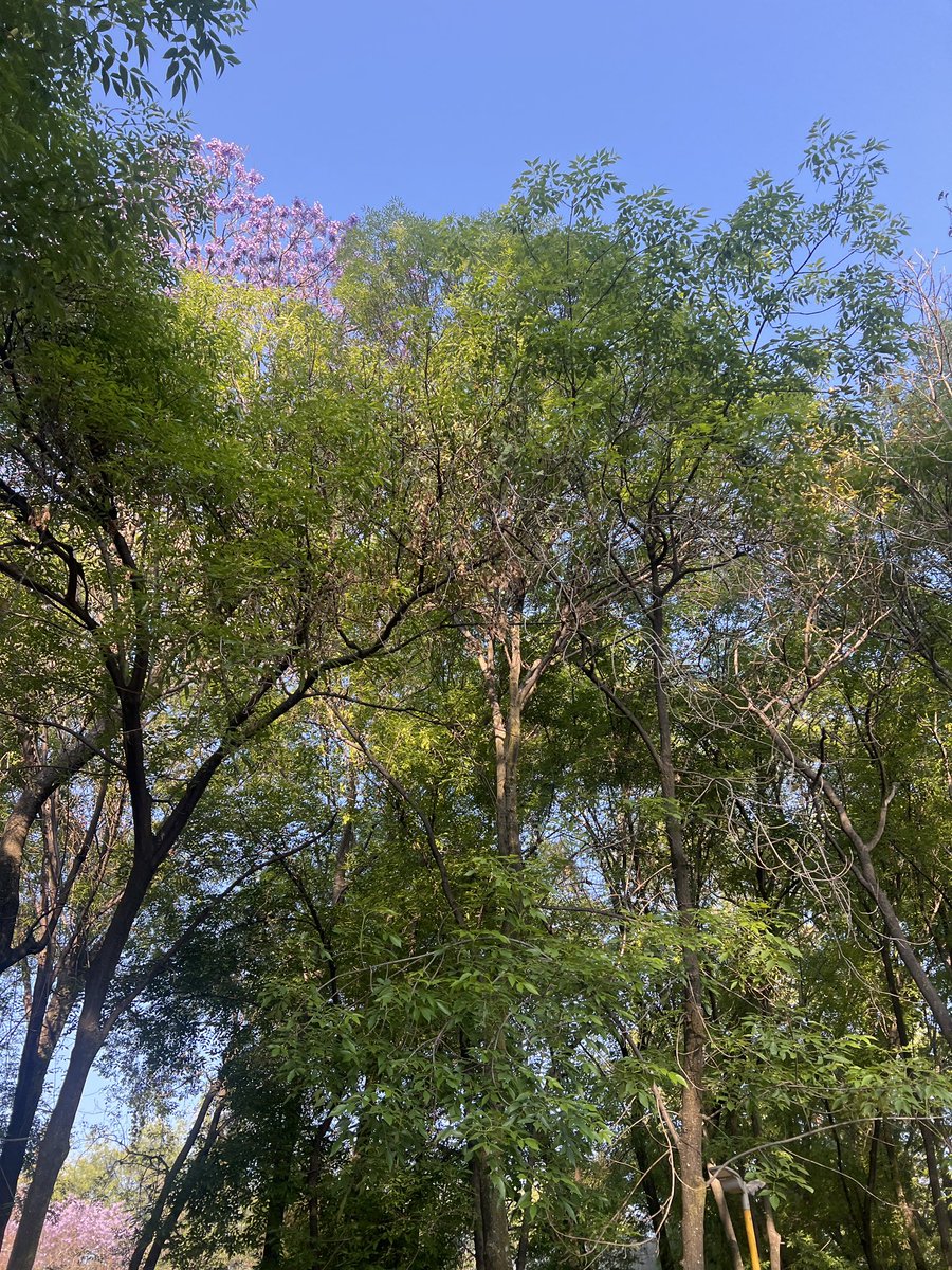 imitatio instrumentarium tweet media