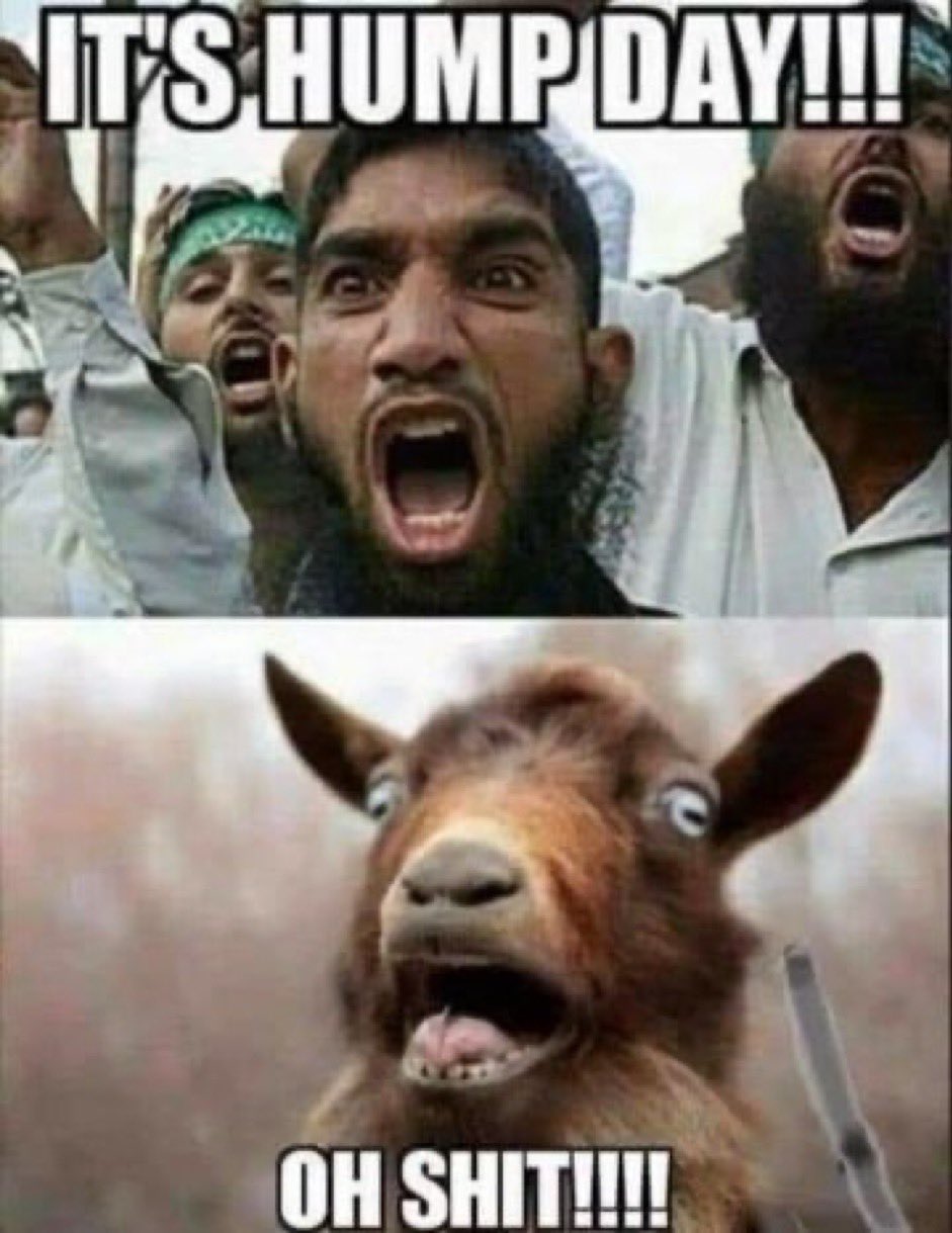 🇺🇸Roger Bernards🍊 (@RogerBernards) on X