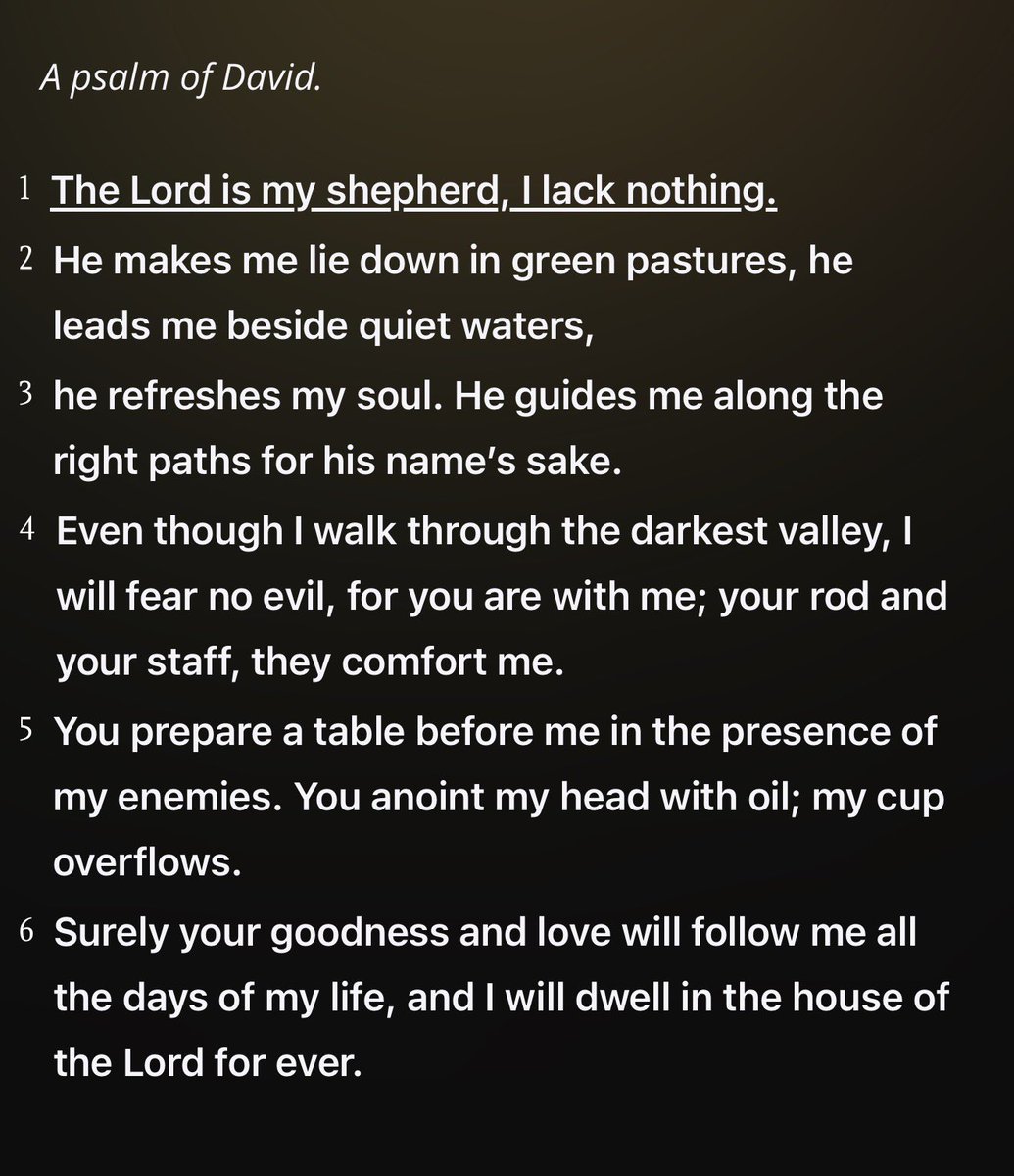 sadgirlsgojim tweet media