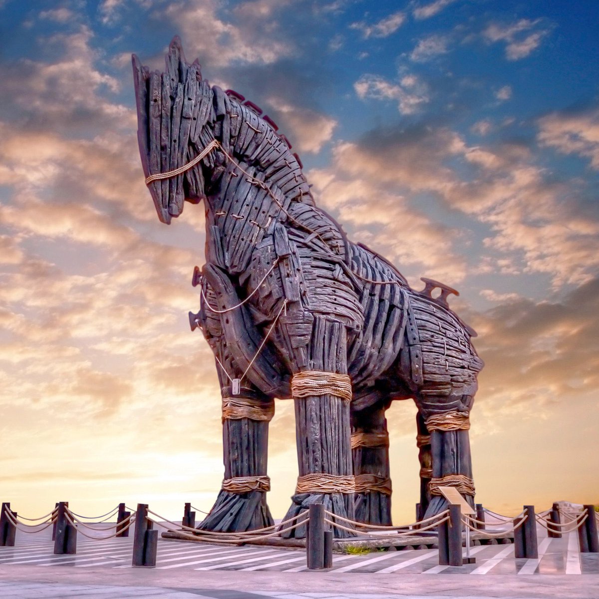 Jiří Pehe tweet media