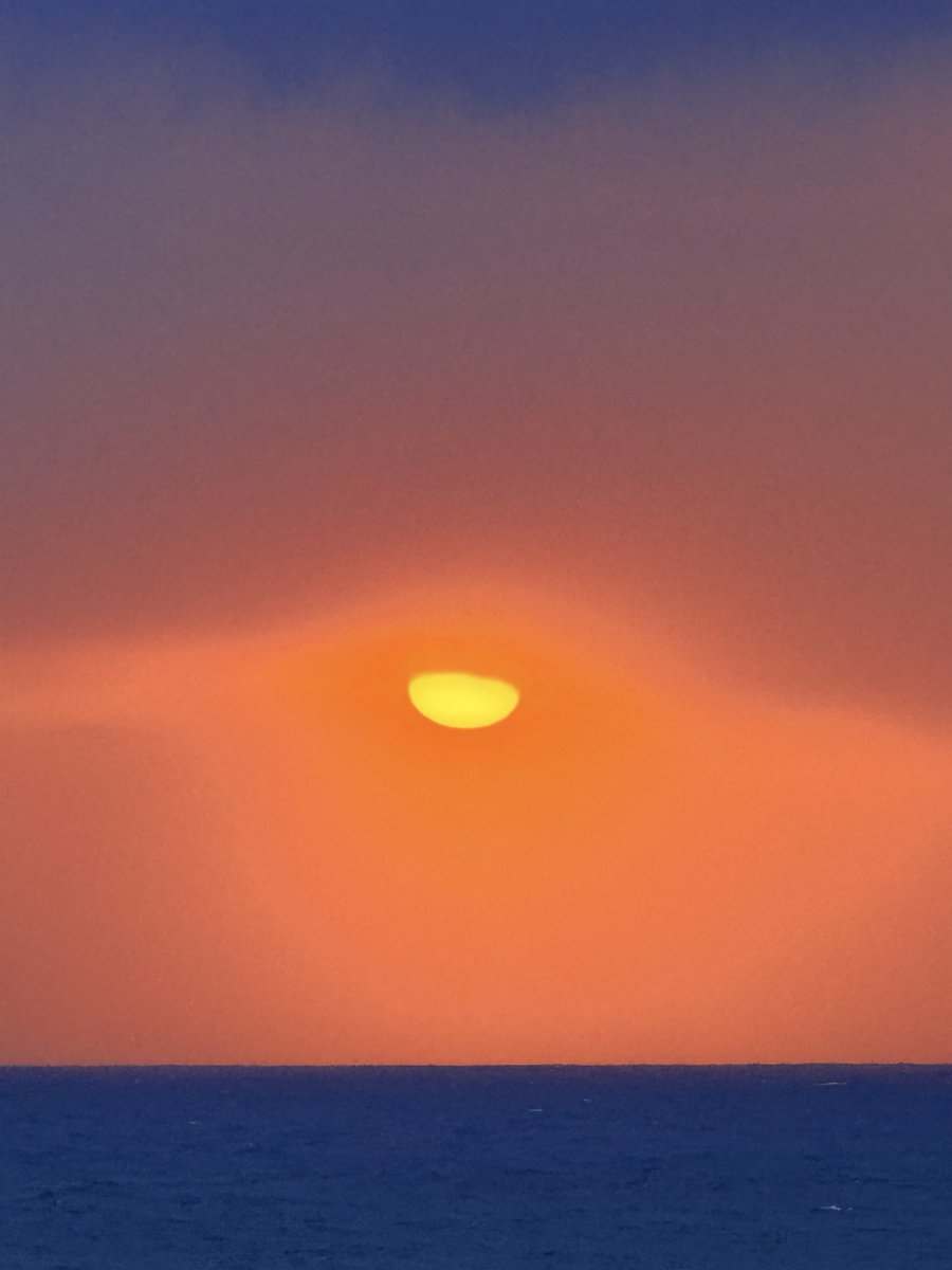 דניאל ברזני tweet media