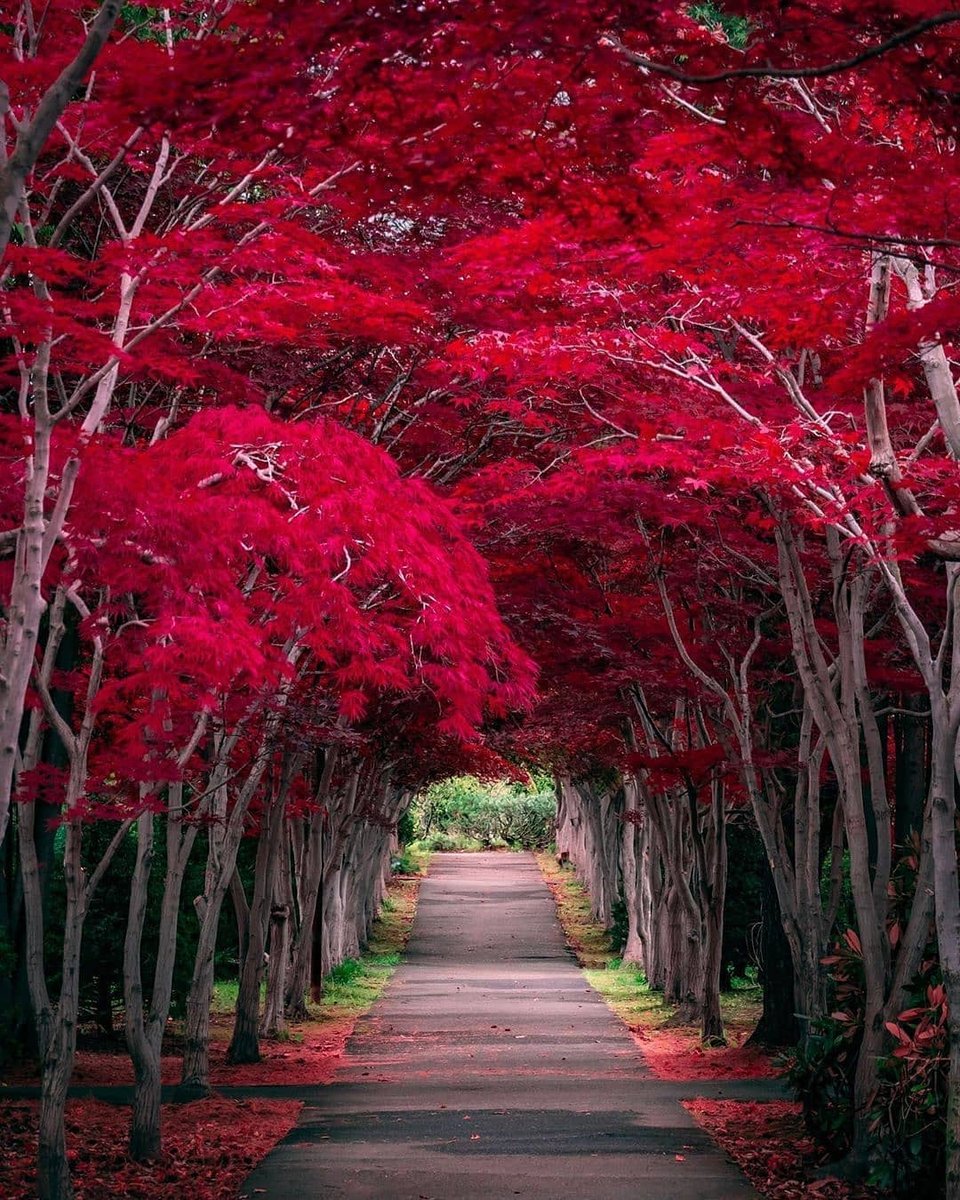 Stefanit Smith tweet media